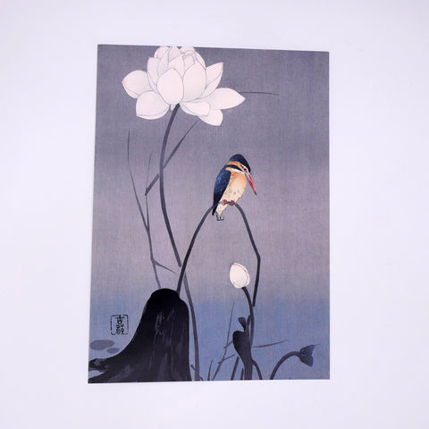 Kingfisher and Lotus Art Print (A4)